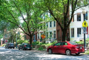 tree lined streets in neighborhood